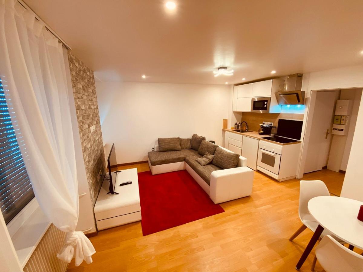 Petit Mulhouse 201 Apartment Luaran gambar
